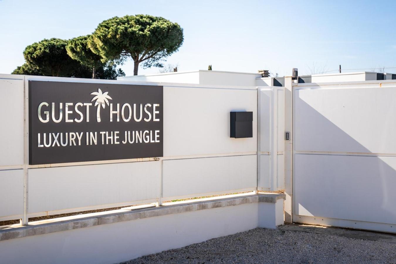 Luxury In The Jungle Villa Formello Ngoại thất bức ảnh